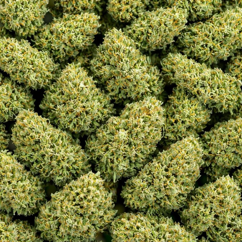 Fleurs CBD - MARINA CBD