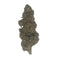 Bubba Kush CBD - Glass-House | Marina CBD