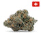 Fleur Critical+ 2.0 CBD Indoor-Hydro - Marina CBD