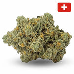 Fleur Amnesia Haze CBD – Indoor Hydro - Vignette | MARINA CBD