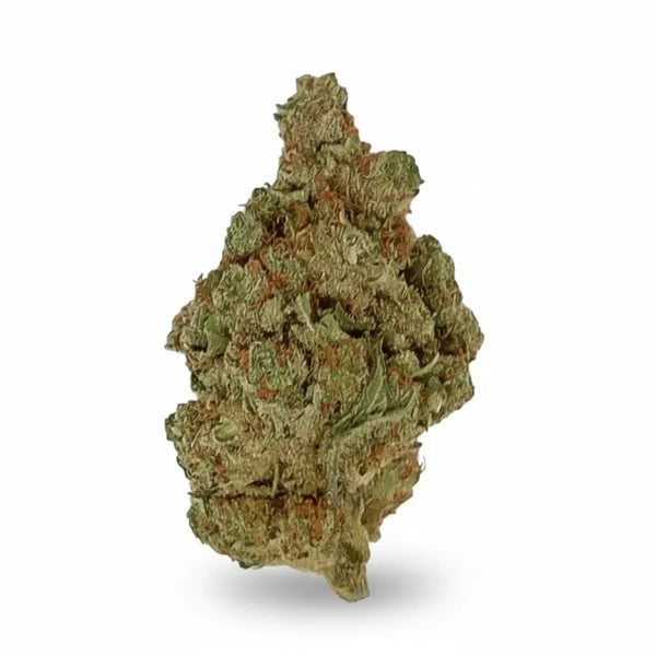 Fleur Amnesia Haze CBD - Indoor-Hydro - MARINA CBD