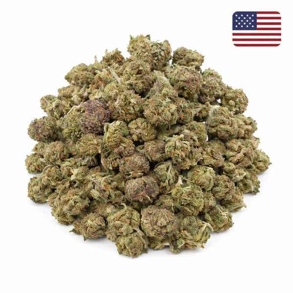Blackberry Kush CBD - Small Bud - Glass-House Cali | Marina CBD