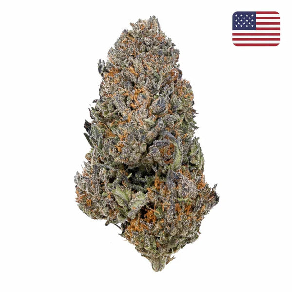 Blackberry Kush CBD - Glass-House - Cali | Marina CBD