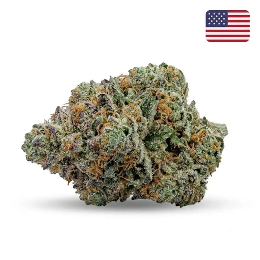 Fleur CBD Blackberry Kush Glass-House Cali, têtes violet profond aux arômes de mûre et fruits rouges - MARINA CBD