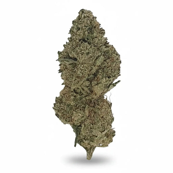 Charlotte’s Angel CBD - Indoor-Hydro