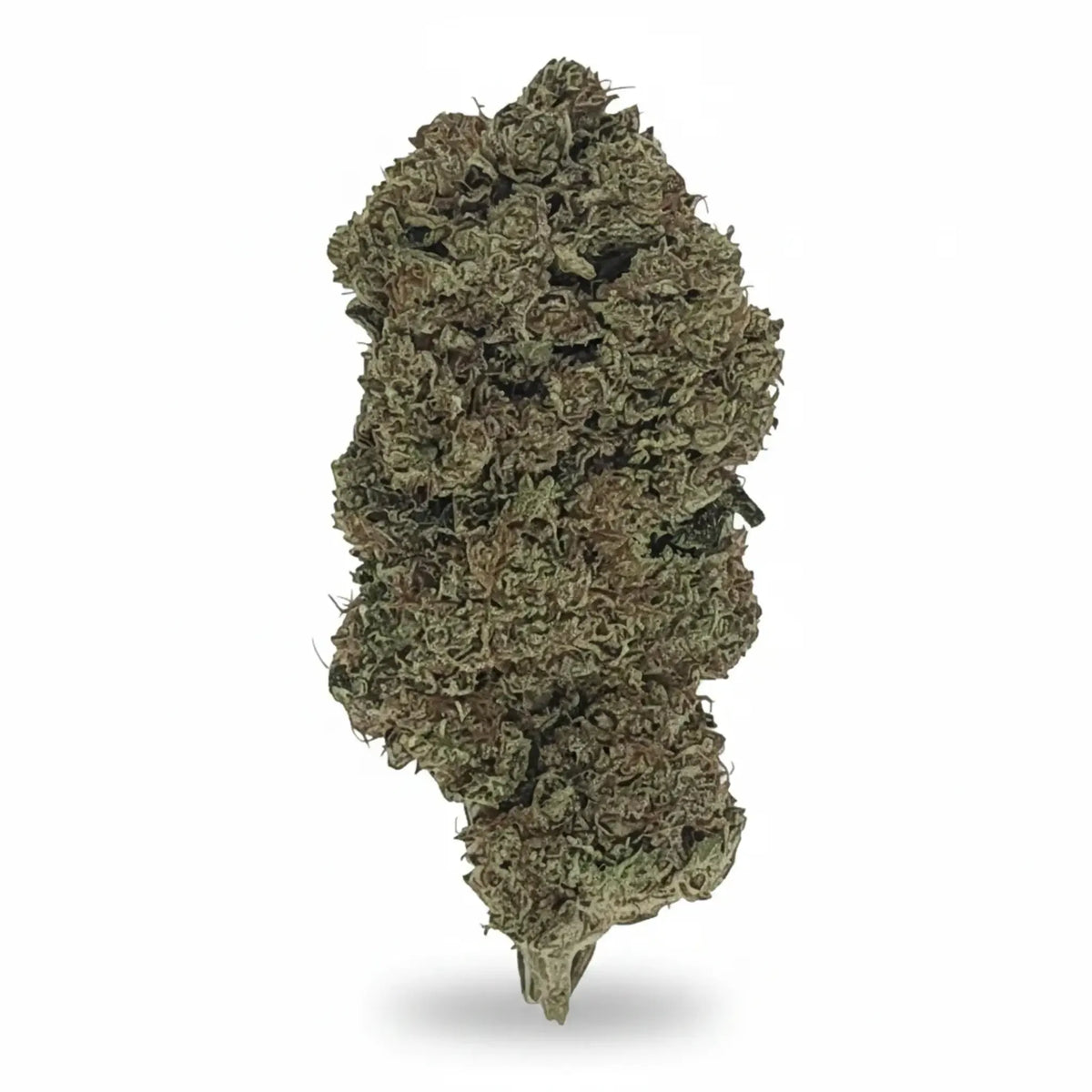Fleur Critical+ 2.0 CBD - Indoor-Hydro - Marina CBD