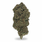 Fleur Critical+ 2.0 CBD - Indoor-Hydro - Marina CBD