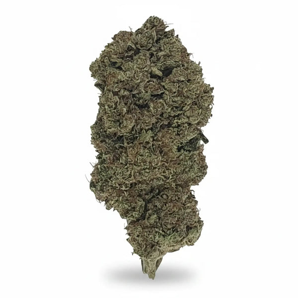 Fleur Critical+ 2.0 CBD - Indoor-Hydro - Marina CBD