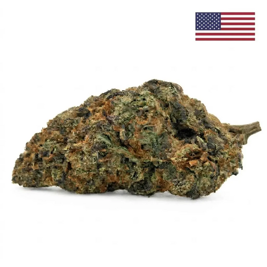 Fleur CBD Mandarine Punch Indoor Cali aux notes d'agrumes, variété cultivée en intérieur