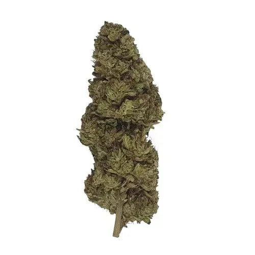 Lemon Haze CBD - Glass-House | Marina CBD