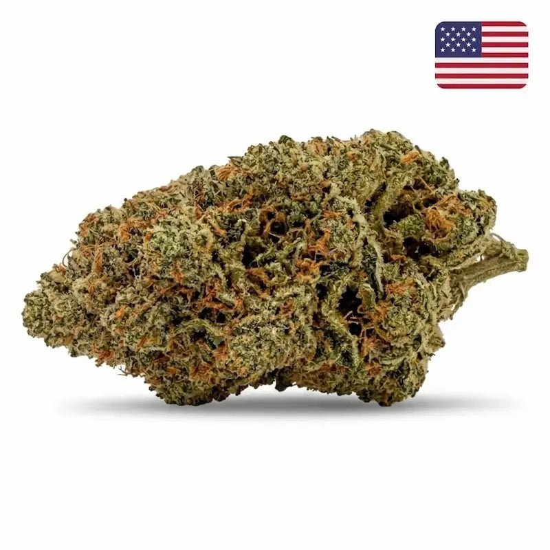 Fleur CBD Papaya Diesel Indoor Cali, têtes aux notes tropicales de papaye et de diesel - MARINA CBD