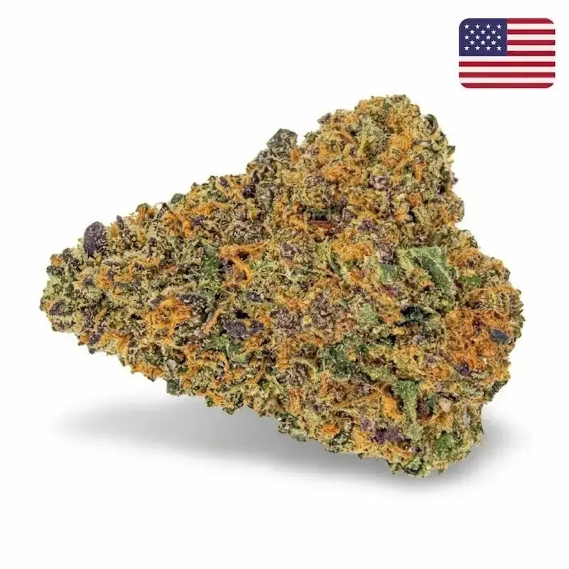 Fleur CBD Purple Lemonade Indoor Cali, teintes violettes prononcées et notes citronnées - MARINA CBD